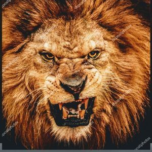 Meet your Posher, Carlos